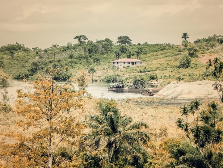 Liberia bush