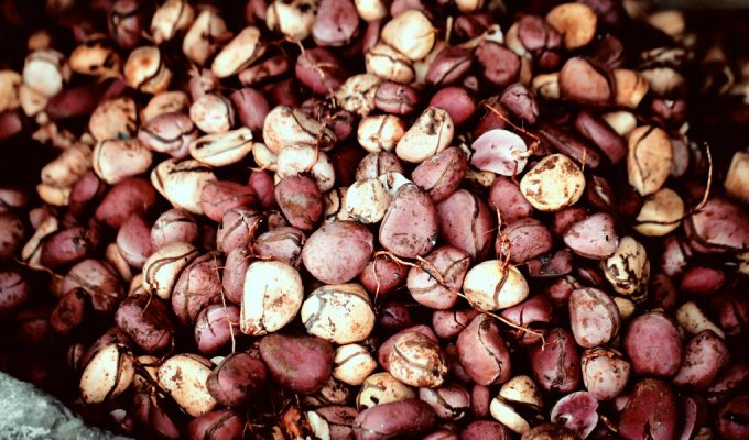 liberia-one-day-went-field-visit-7-9