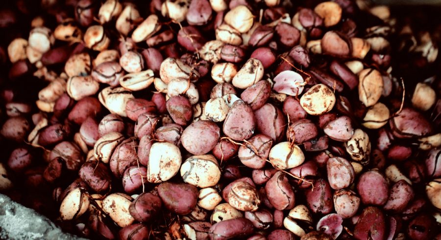 liberia-one-day-went-field-visit-7-9