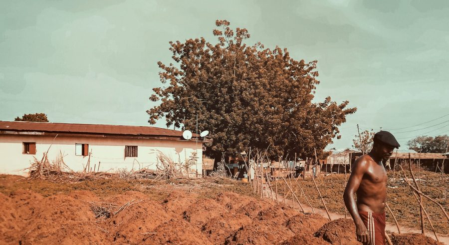 one-day-went-bush-liberia-9-9